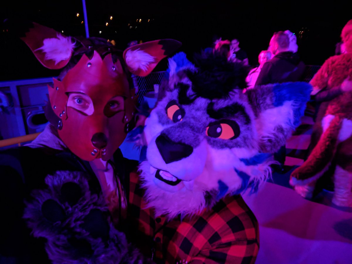 Foxos modern life tweet media