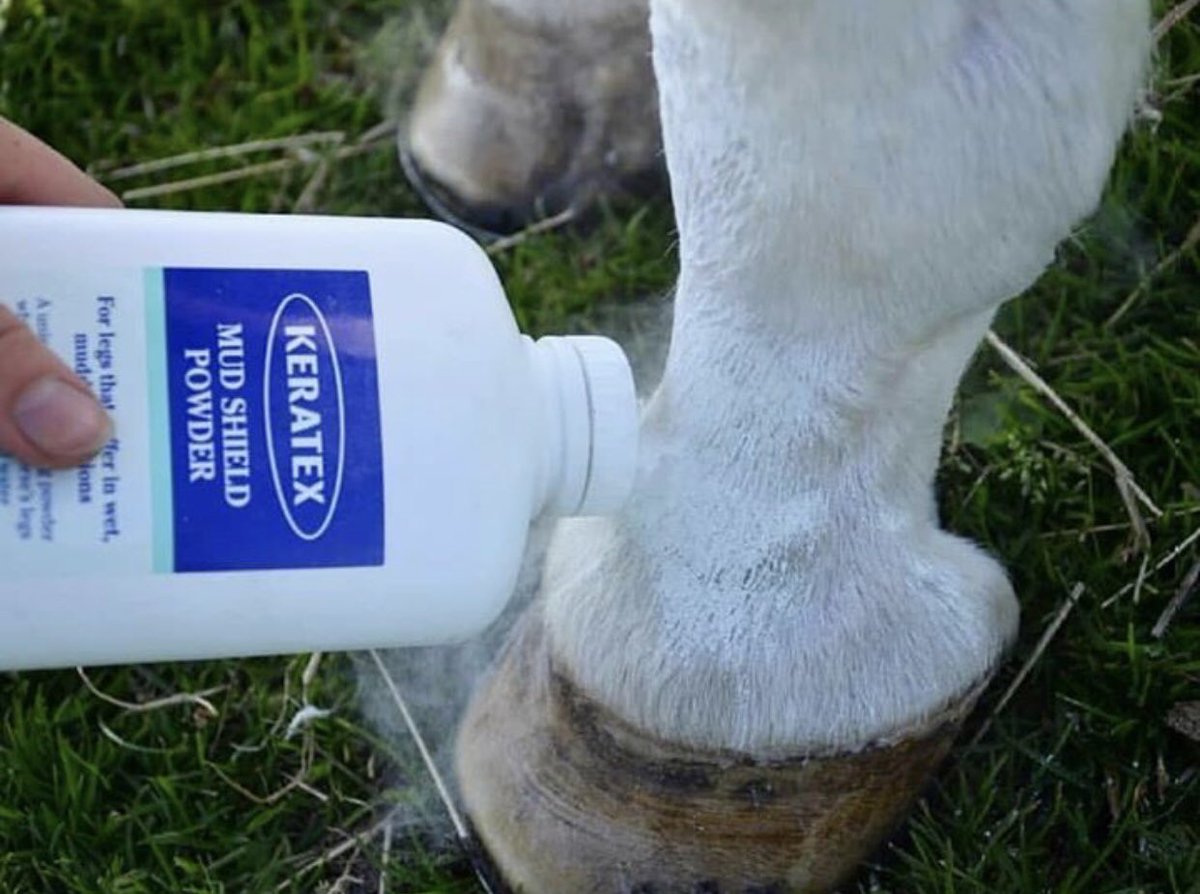 KeratexHoofcare's tweet image. #Keratex Mud Shield Powder is perfect now the weather is turning! Once applied &amp;amp; rubbed in, this powder will stop mud from sticking &amp;amp; will keep legs fully breathable, helping #horses who suffer in #muddy conditions during the Autumn and Winter months #247equestrian #horsehour
