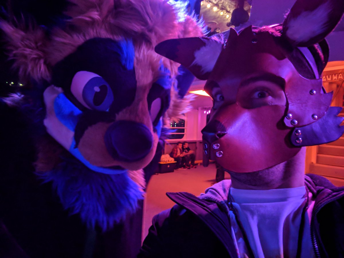 Foxos modern life tweet media