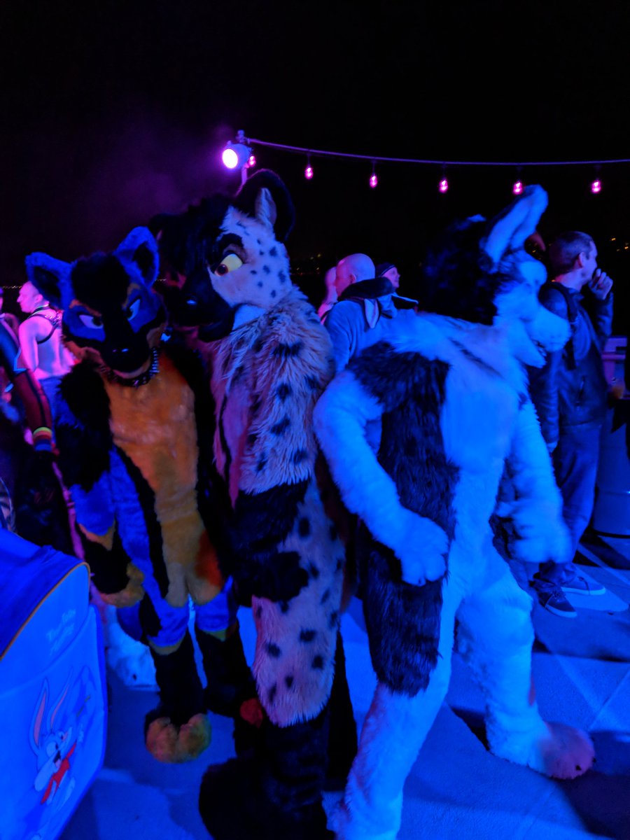 Foxos modern life tweet media