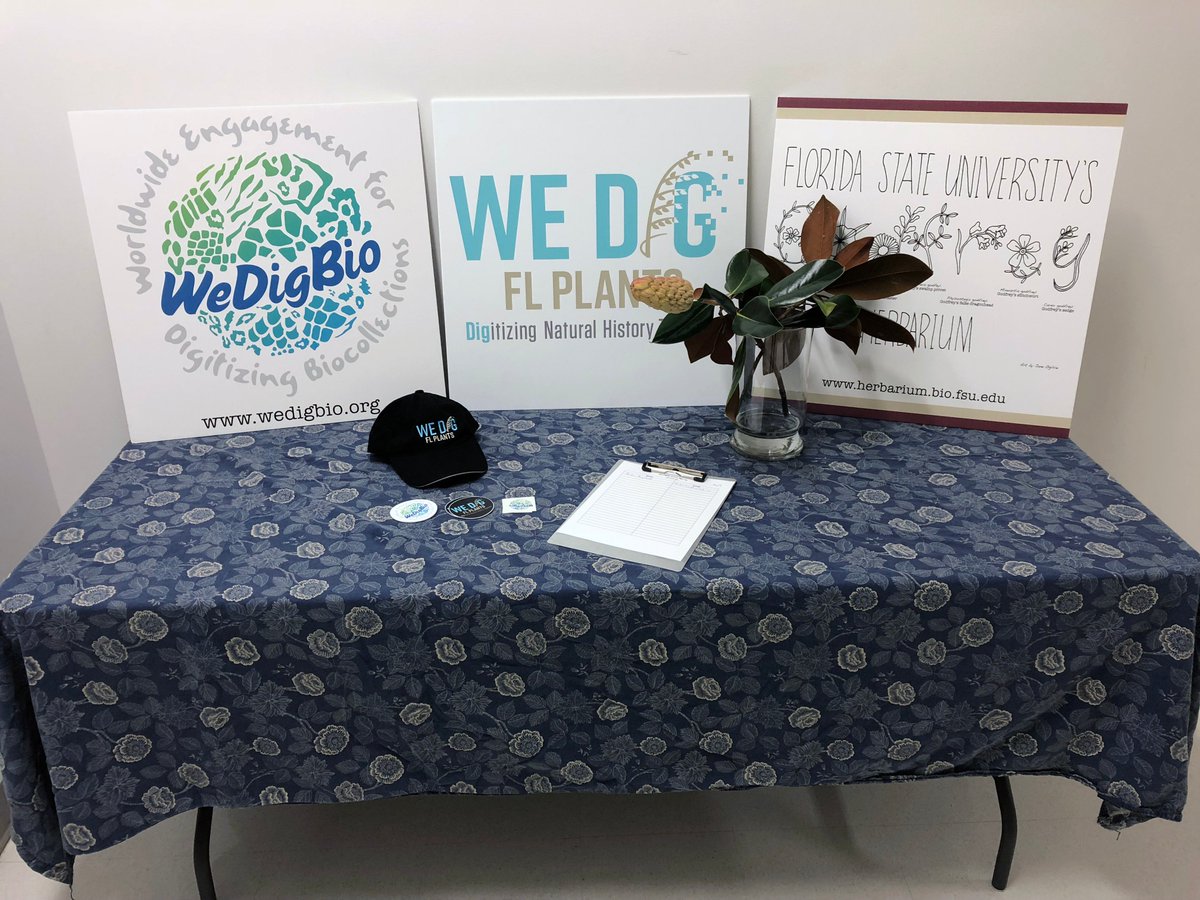 austin_mast's tweet photo. Some photos from our second (Fri night) @WeDigFLPlants @WeDigBio event. Strong participation both days—36 on Thurs & 24 on Fri. Created A LOT of useful data. Thanks, everyone! #FSURKG https://t.co/3BFnchwXAJ