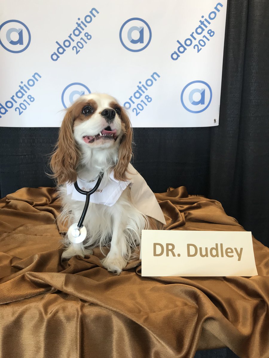 Dr. Dudley is ready to go at the Photobooth!! Go by and say hello and get your picture taken with this sweet pup! —> 3rd floor entrance #Adoration2018
