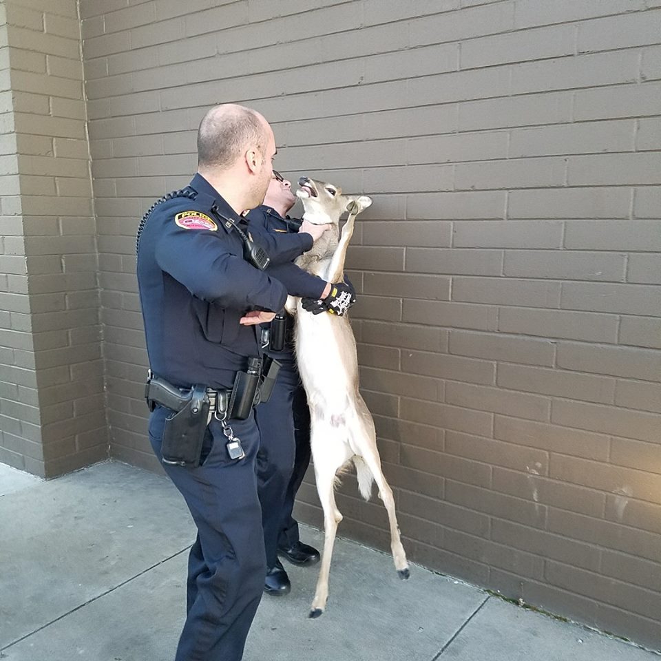 goonwithglasses's tweet photo. Twitter Police: What you know about brother nature and those tweets!? 

Canela: Fuck 12! https://t.co/0zChEvPhoV