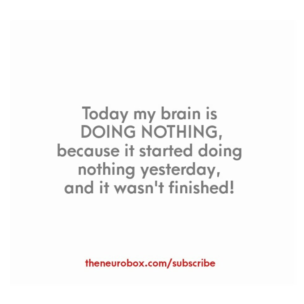 theneurobox's tweet photo. Sunday mood! 😂

#neurobox #brainfood #brainfuel #brain #nootropic #subscriptionbox #brainmeme #relax #soothe #weekendvibes #Sunday https://t.co/LRcDE8XZRE