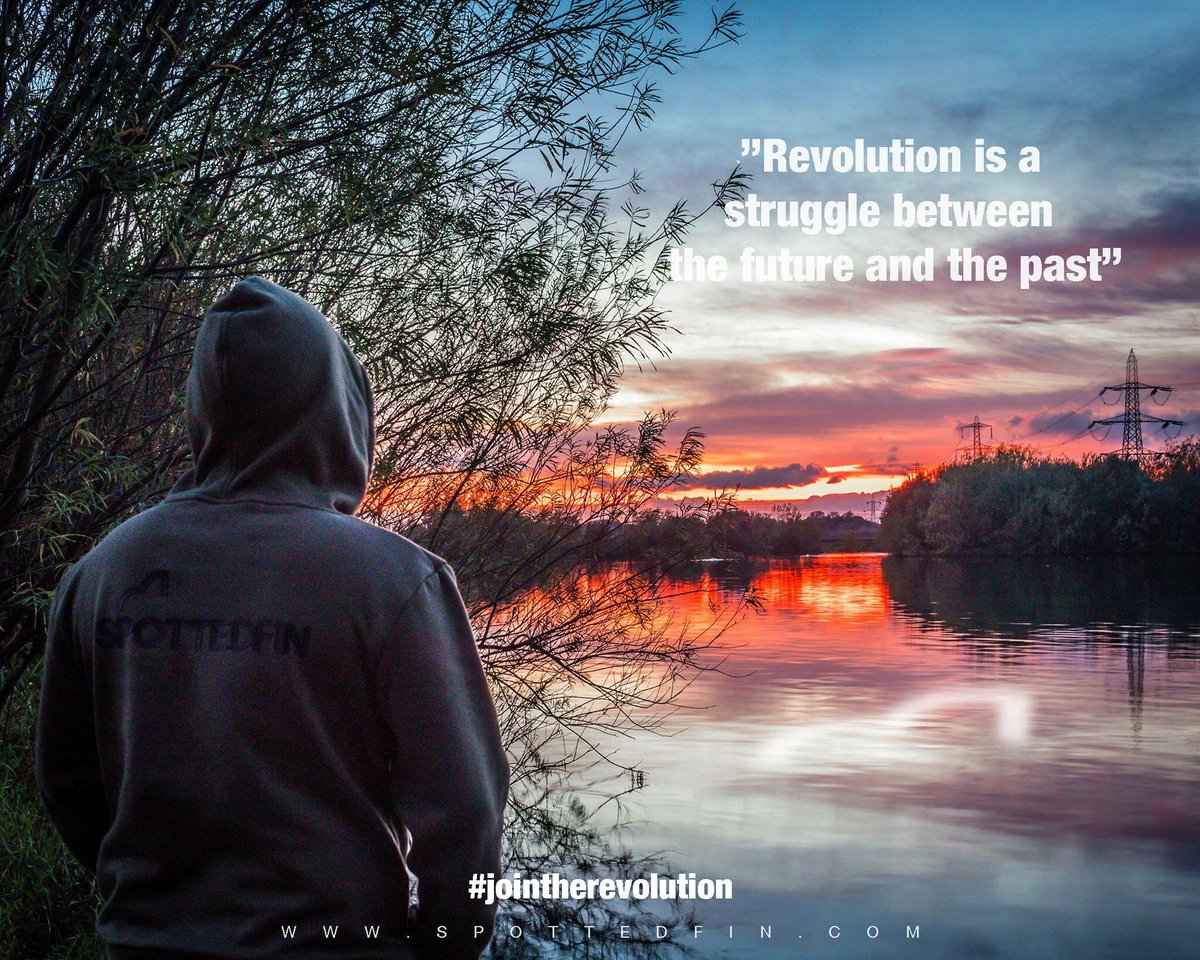 Spotted Fin tweet media