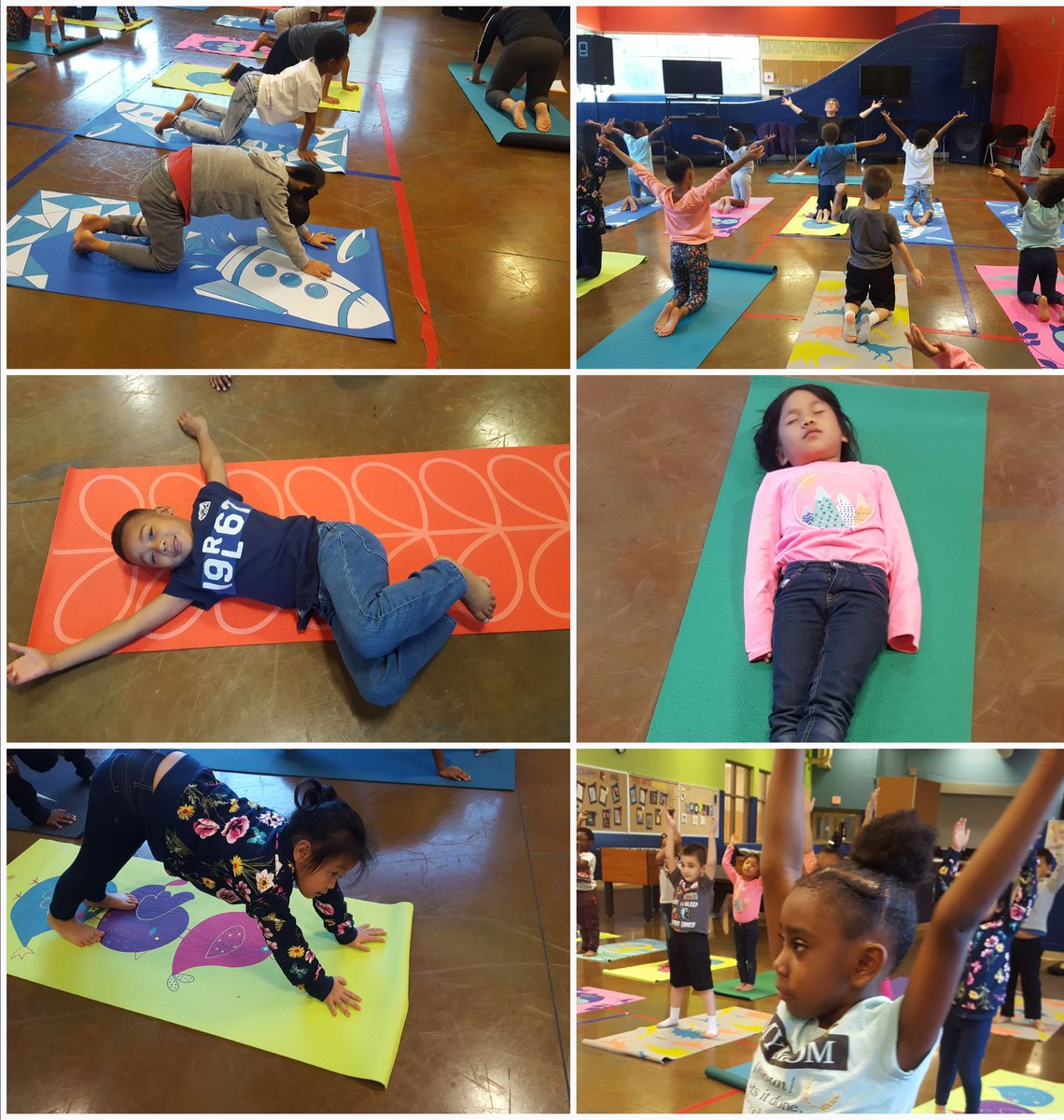 JeanneDawson29's tweet image. We love YOGA Fridays! Learning about breathing and our body, helps our learning in the classroom! #OPSProud #MtView #Namaste