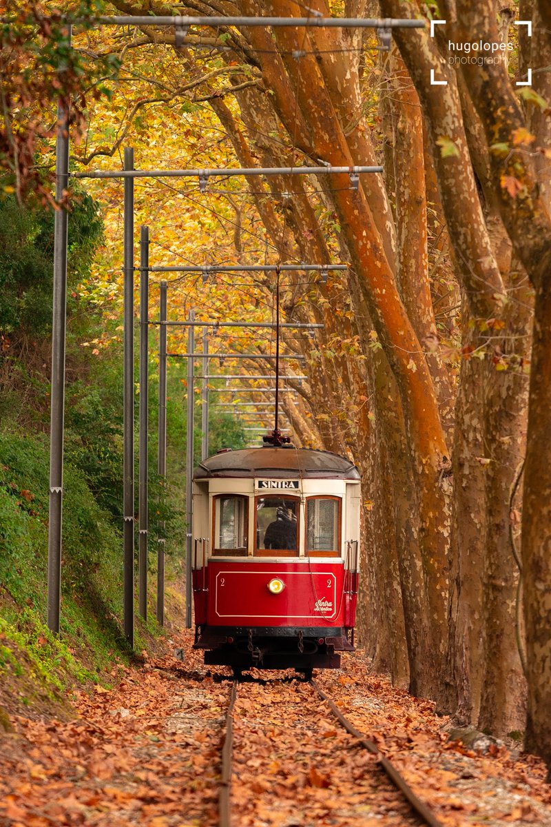 HugoLopesPhoto's tweet image. Sintra Tram
#Photography #sintra #Portugal #tram #fall #autumn