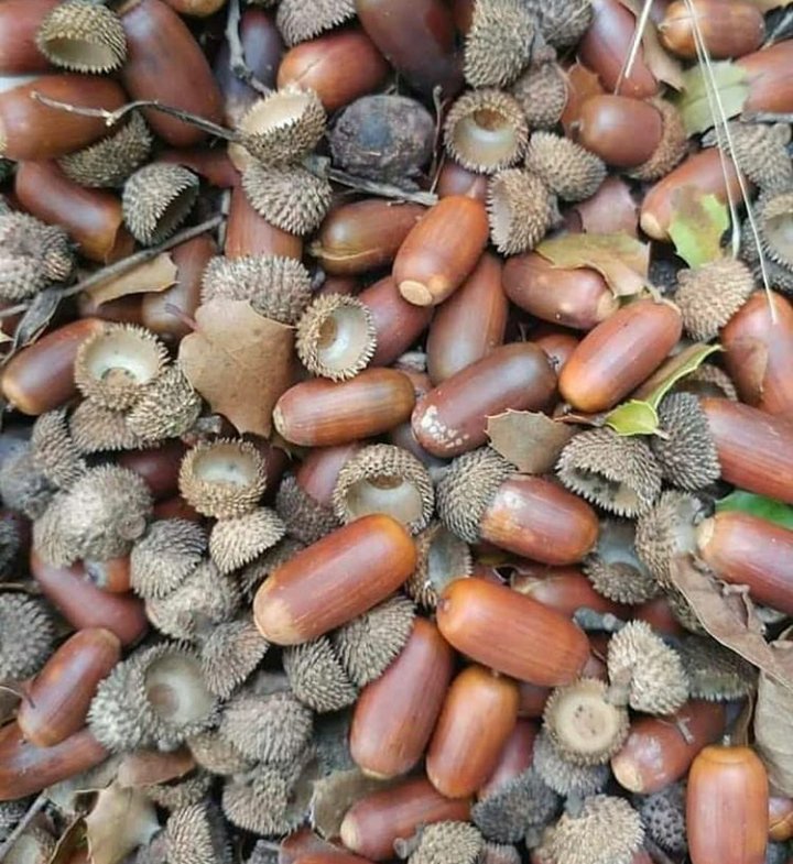 İsmini bilen var mı?😊

Güzel geceler