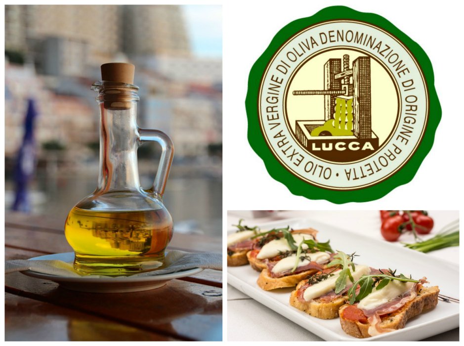 CavenitLara's tweet image. Aunque ya existía desde la antigüedad, el cultivo de olivos en la provincia de Lucca, en Toscana, experimentó un aumento a partir del siglo XIV. Producido a partir de distintos tipos de aceitunas, entre ellas las Frantoio y Leccino,