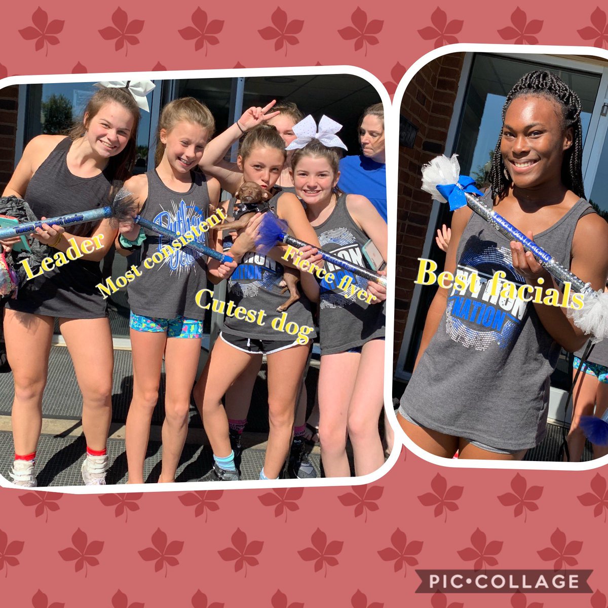 PythonsTimor's tweet image. This weeks spirit stick winners! 10/21/18 💙🐍 #cheer #cheerleaders #spiritstick #timorpythons #unitedpythons #level2cheer #cutestdog