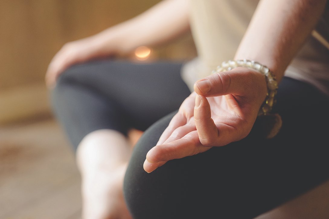 blackberryfarm's tweet image. Embrace the new season as a time to ask yourself, "What do I need?" #blackberryfarm #wellnessis #fallnewsletter 
bit.ly/2J7KZs2