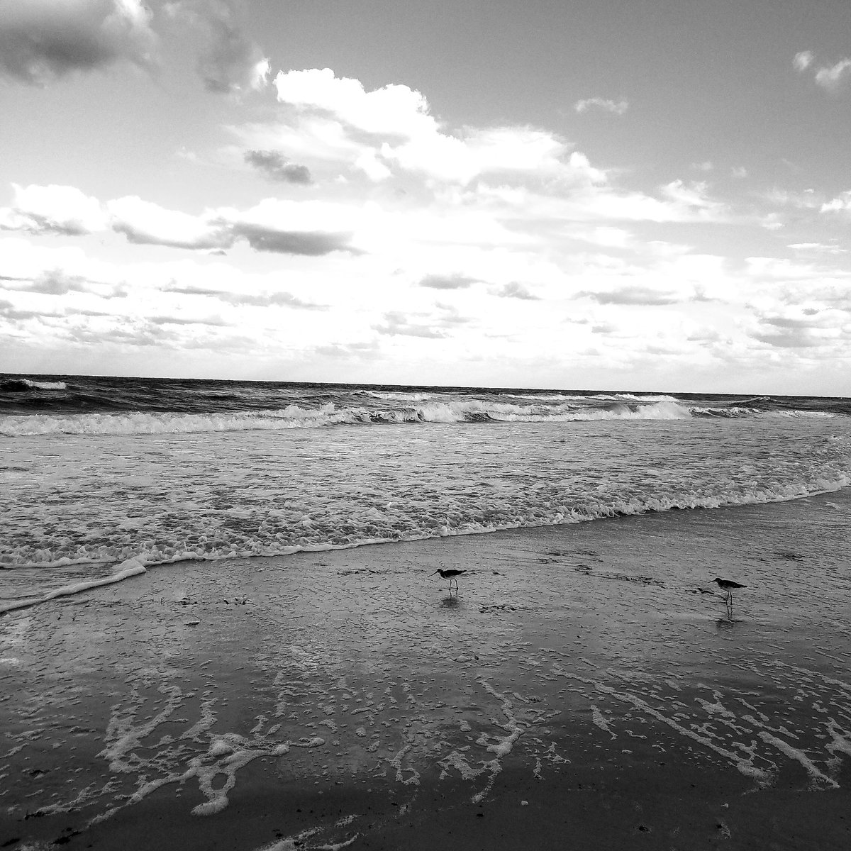 PoolAutomation's tweet image. #OrmondBeach #Florida