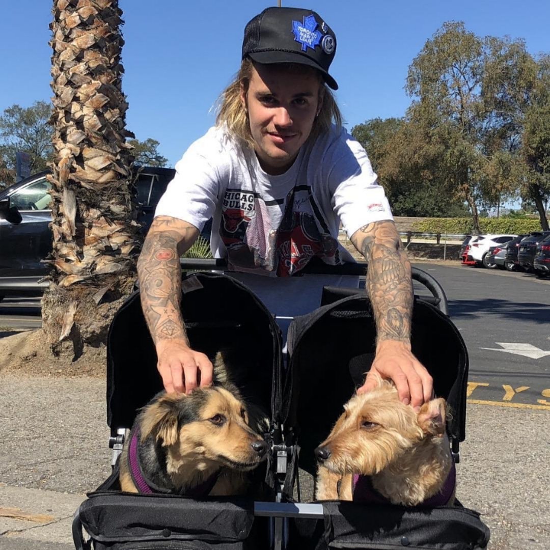 radioboxID's tweet photo. Pagi good people sebelum bermain bola @justinbieber bermain dengan anjing di Los Angles' California 😍👏
Ternyata @justinbieber pencinta binatang loh good people 👏 💞
#RADIOBOX https://t.co/zNrFKDmGVX