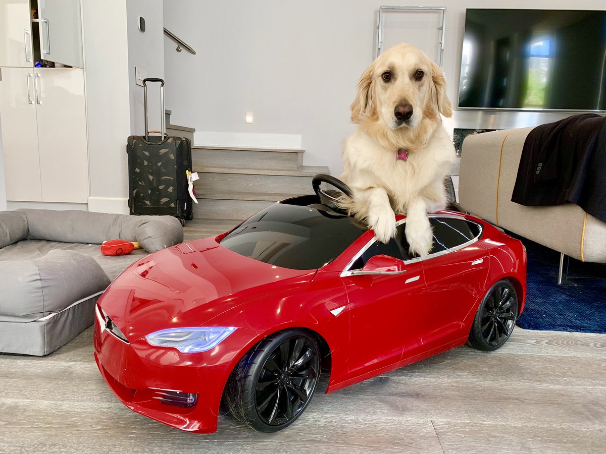 <a href="/elonmusk/">Elon Musk</a> Chica loves her new Tesla