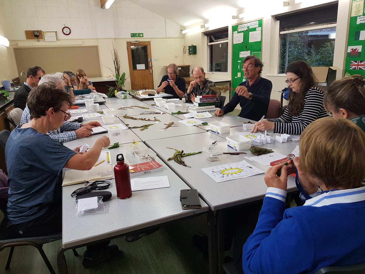 BSBIbotany's tweet photo. If you missed out on last weekend's fabulous #BSBIRecordersConference (or if you were there & would like your own copy of the talks or the workshop notes) check out https://t.co/9sIlm9BINC. 11 talks, 13 workshops, 69 happy #botanists :-) Short report here: https://t.co/06jfRQ2VZb https://t.co/mKSYNuMM9E