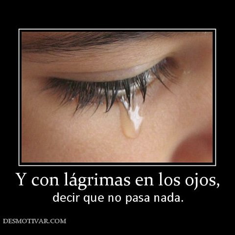 RiosSolberg's tweet image. 