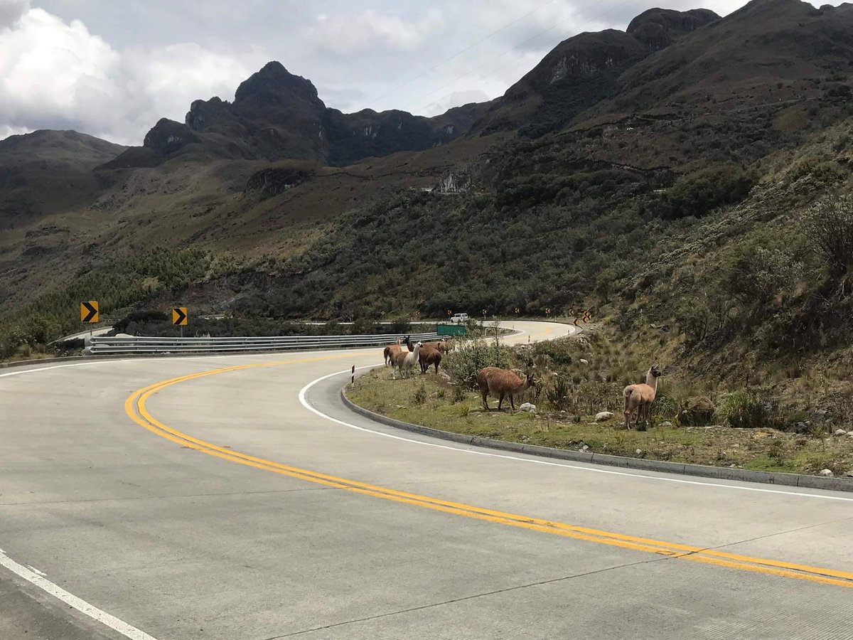 tomebamba's tweet photo. Esta mañana, 11h30, se produjo un accidente en la vía Cuenca-Molleturo, km. 28. Una motocicleta con dos personas se volcó, aparentemente por el cruce de unas llamas. Una mujer yacía inconsciente junto a las barandas de contención, reportó Adrián M. vía Facebook. https://t.co/aj5pLNxnpm