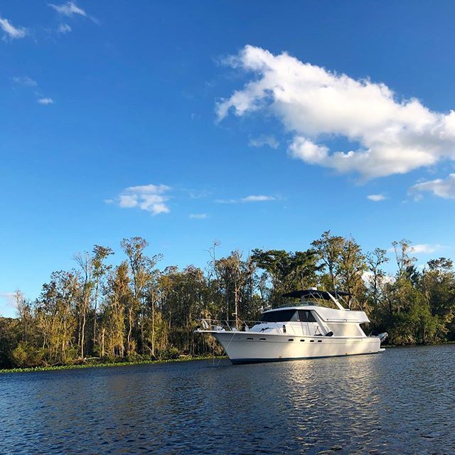 Technomadia's tweet photo. A review on ActiveCaptain said this anchorage rates 6 stars. I think we’ll agree. So lovely. #boatlife #atanchor #blackcreek #stjohnsriver #stjohnsrivercruise #mvynot https://t.co/XlqE191u2B https://t.co/vleoroNlDD