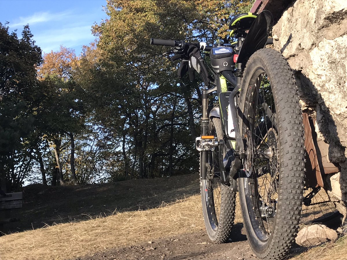 mrfreex's tweet image. Calysium