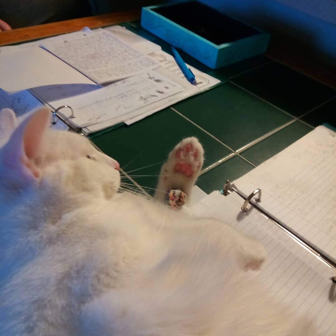 GMKevinBelden's tweet photo. Playing some D&amp;D with my friends We call it Terror Quest, soon to be coming to a podcast near you! Hex Grid Heroes family having fun. 
#dnd5e #dnd #dungeonsanddragons  #dungeonmaster #gameparty #gameswithfriends #d20 #heroforge #cat #gamemaster  #podcast #wizardsofthecoast https://t.co/CQbrqmCCwV