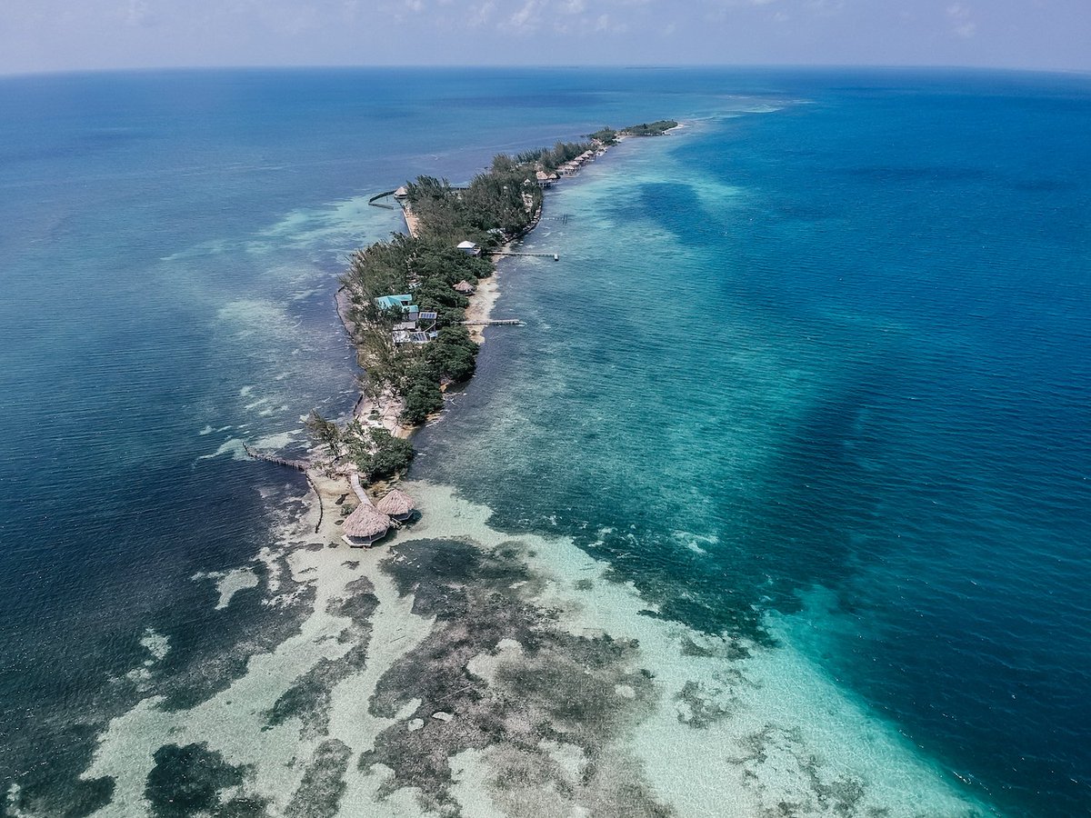 BUscuba's tweet photo. We have plenty of remarkable resorts we recommend you weigh anchor at in between dives! One of them is the private island paradise you find at @thethatchcaye 🏝
https://t.co/B7PPhgKAQt https://t.co/k4t8nV5qLe