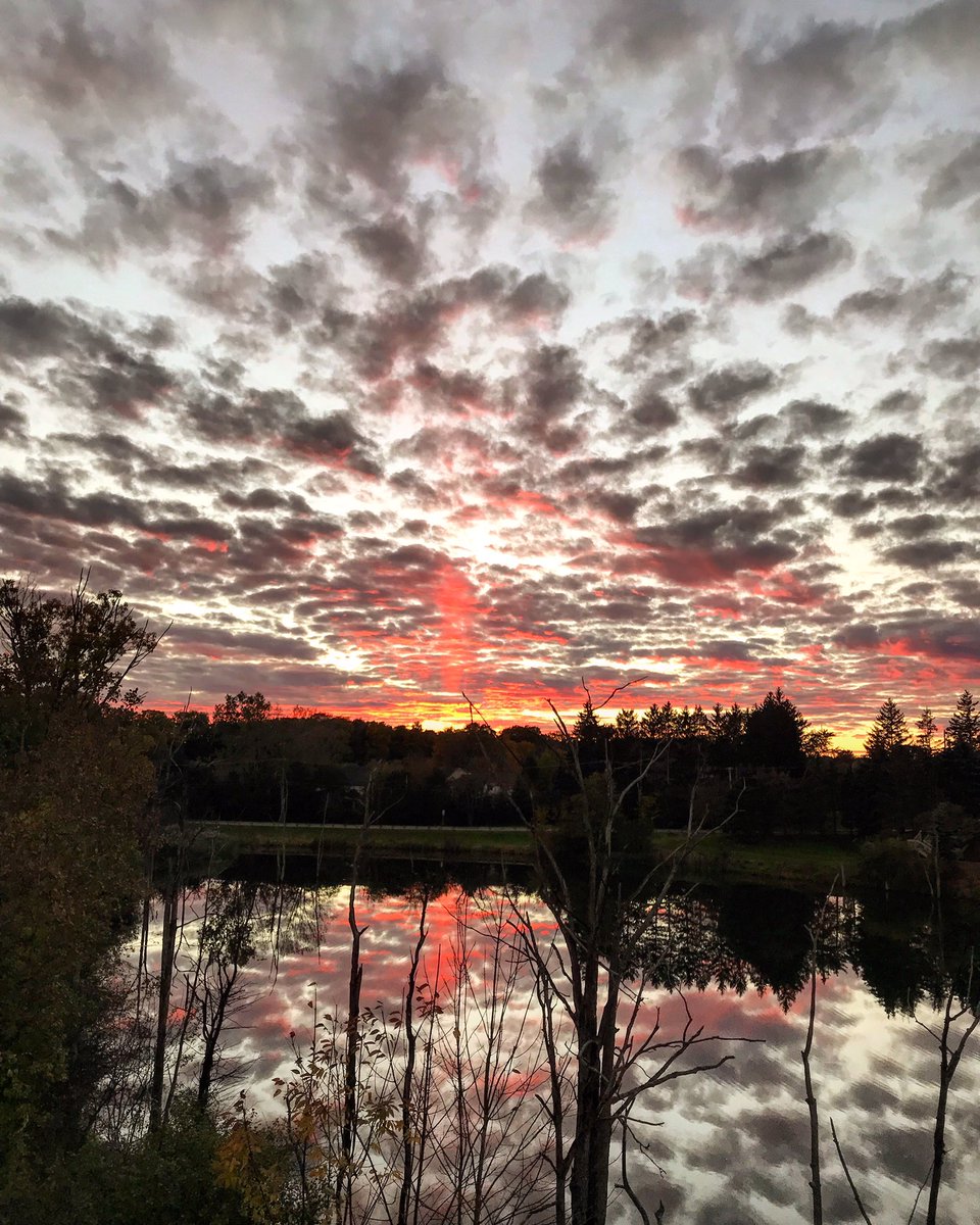 risapr1's tweet image. #SunsetReflection ❤️
#sunsetreflection #sunset #clouds #sunsets #sunsetphotography #michigansunset #puremichigan #michigan #nofilter