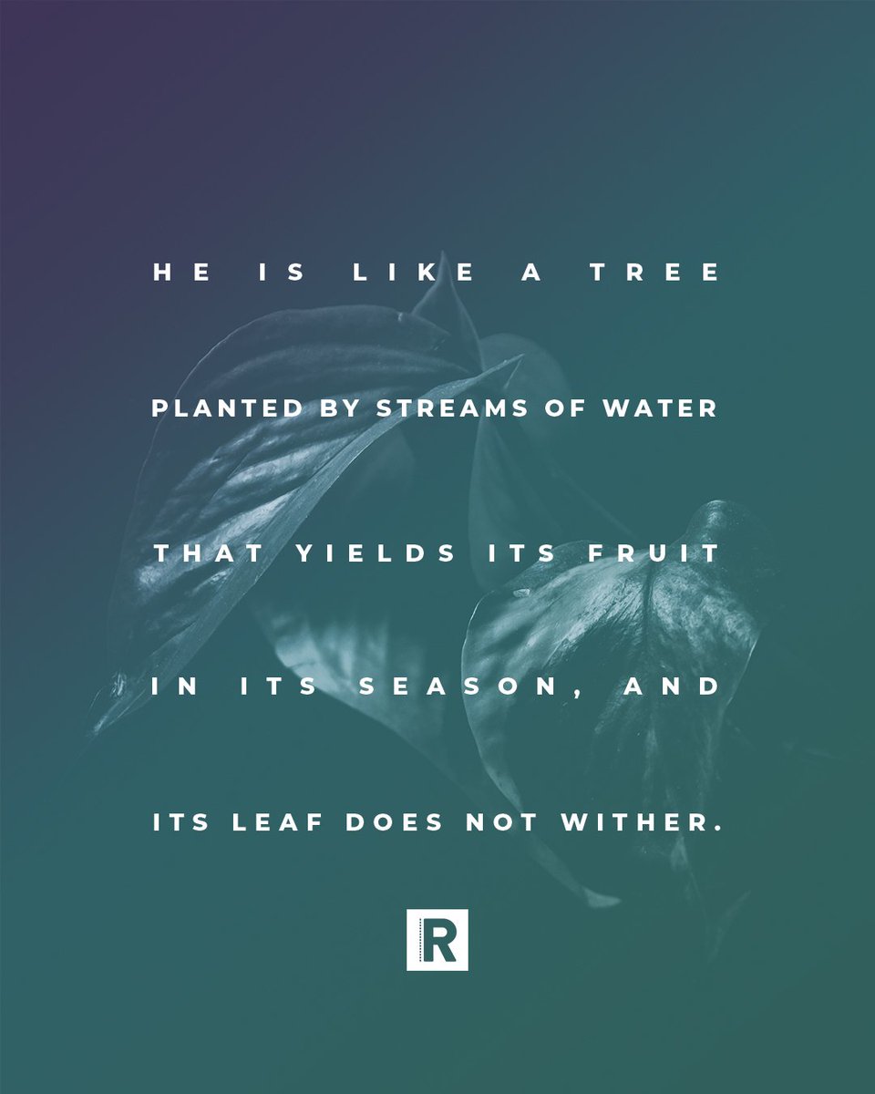 The Roadshow tweet media