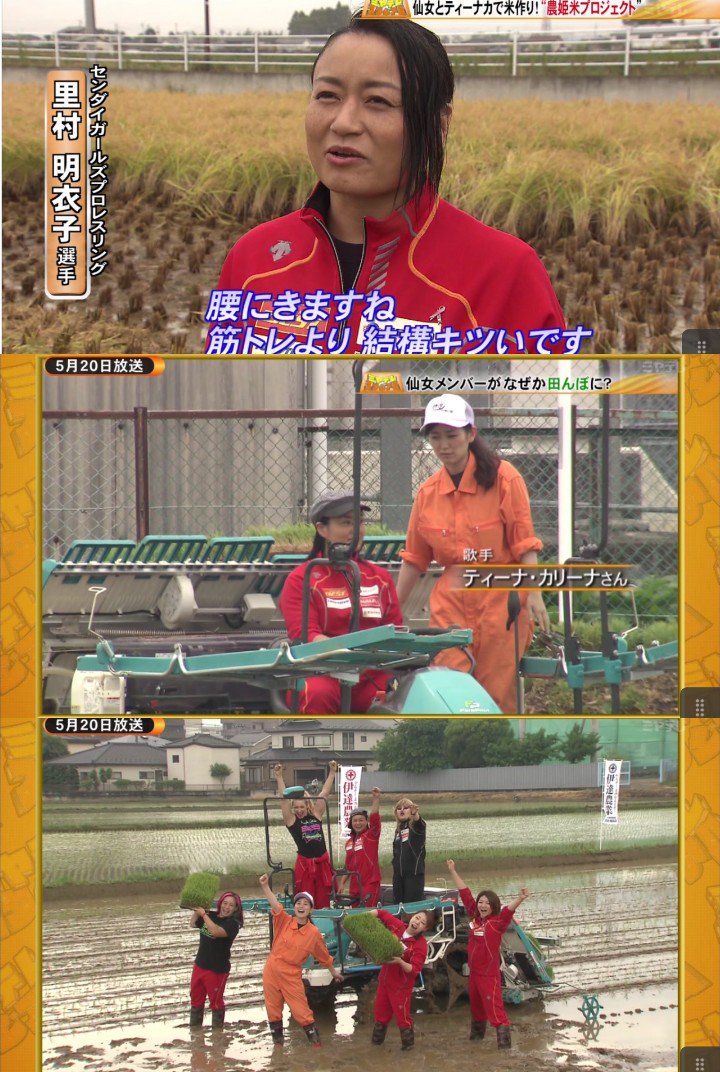 農姫米プロジェクト