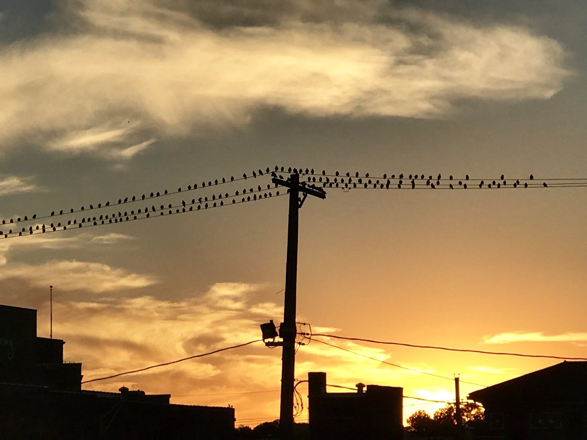 joliejustus's tweet photo. Sunset in the Crossroads. #parlorkcmo https://t.co/KMzPsJqmp3