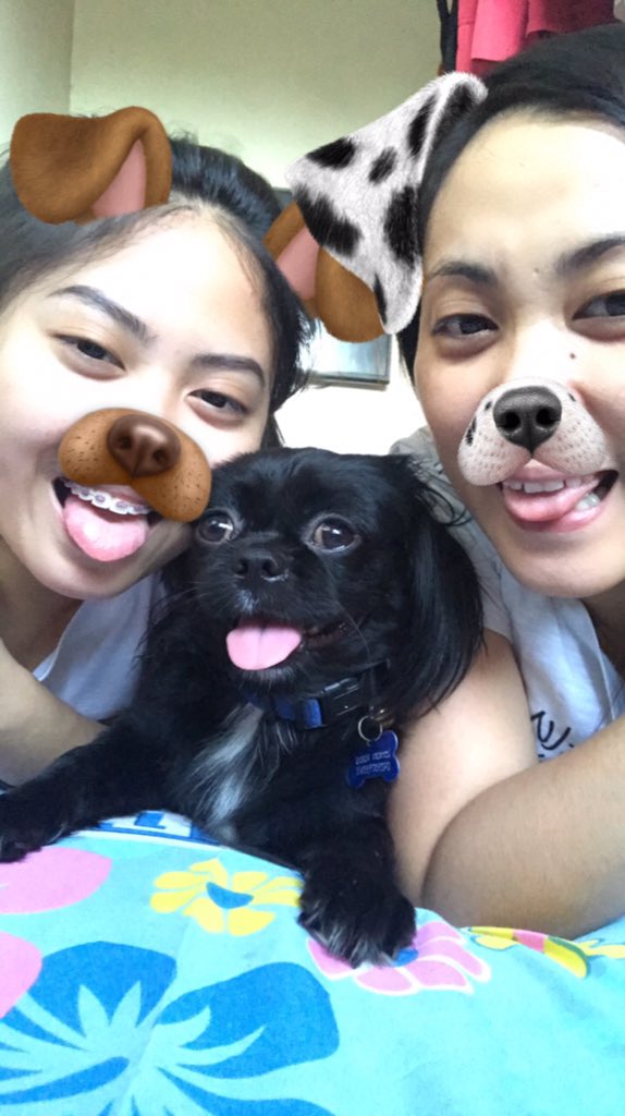 beibeemamah's tweet image. He’s not just a pet to but he’s a Family ❤️ Meet our baby Love, Duke 🐶 #shihtzu #prapso #dukeofkassel #loveofourlife #babylove #furbaby