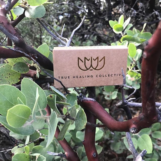 THCBayArea510's tweet photo. #sfweed #mmj #bayarea420 https://t.co/NiMG057gks https://t.co/JStJbHe6Gu