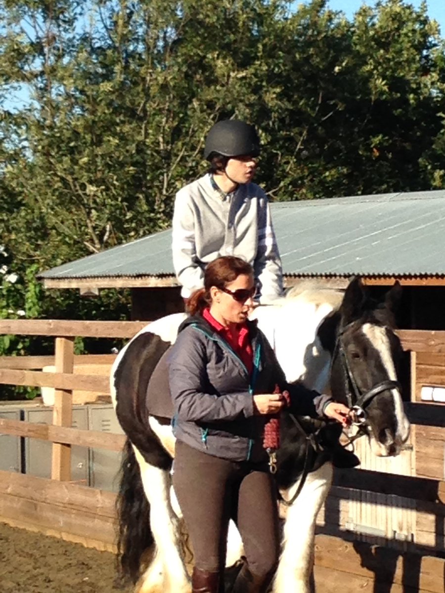 SandyHowarth's tweet image. Steven (24) who has severe and complex autism seeks joy and comfort in horses