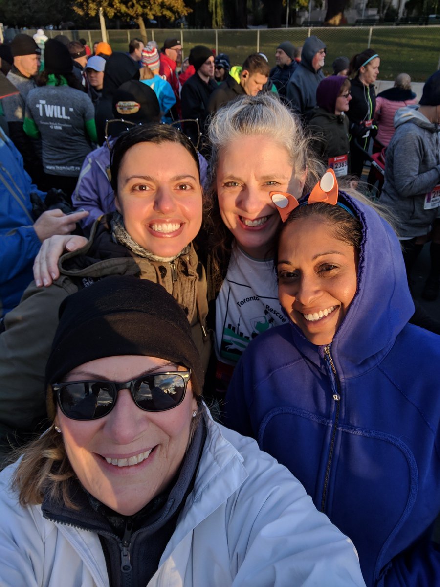 TorontoCatRescu's tweet photo. We are proud of our Scotiabank Toronto Waterfront Marathon team! They showed up, they walked or ran on this brisk autumn day, and they raised much needed funds for cats in need. Please donate if you are able... every bit counts: https://t.co/EDPFCksyAf
#STWM #RunForCats @RunCRS https://t.co/fRuQrZuKIh