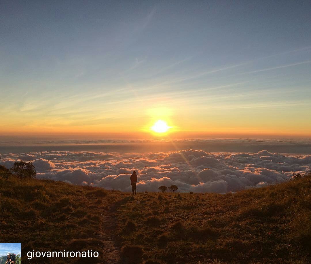 Woman & Sunrise 🌿

#pictadv #merbabu by @giovannironatio

#gunungmerbabu #mountmerbabu #merbabumountain #tamannasional #nationalpark #jawatengah #explorejawatengah #indonesia #exploreindonesia

Follow IG @Pendaki_Jakarta
#pendakijakarta
#pendaki_jakarta