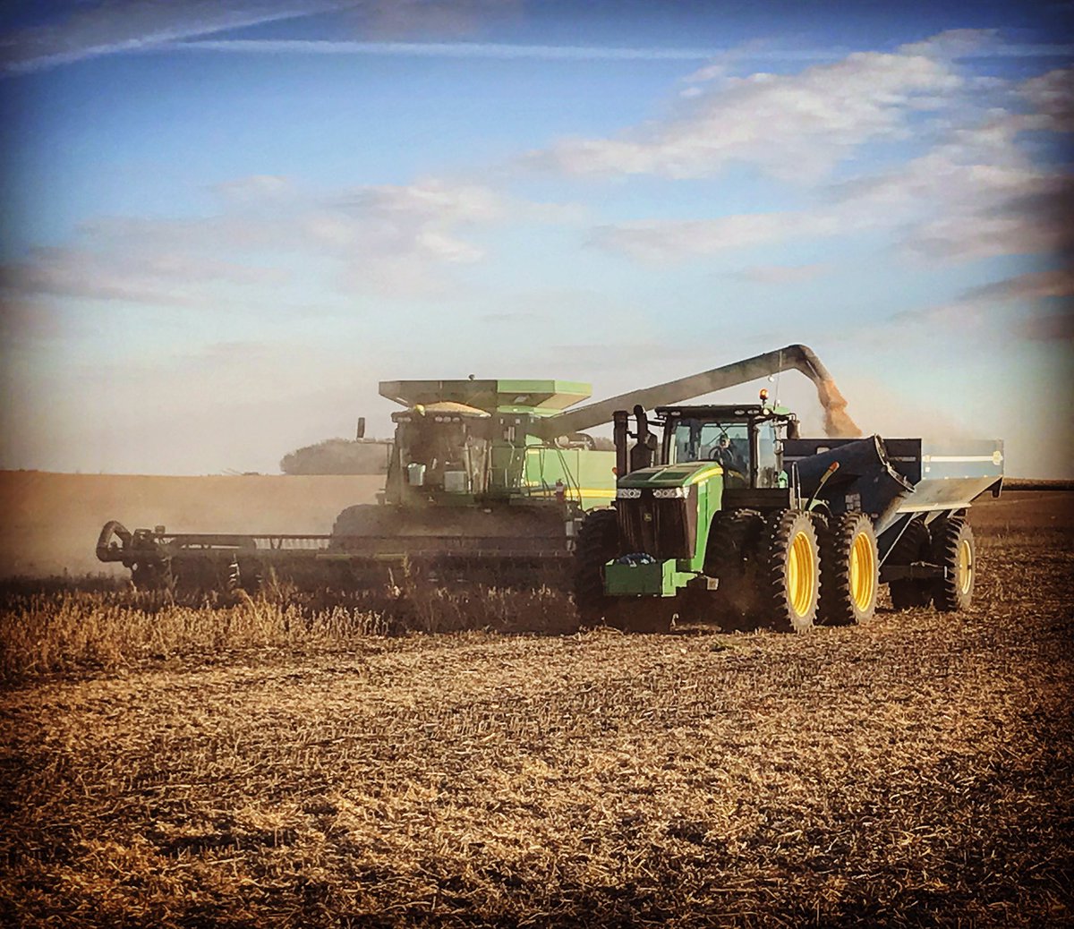 brian adams tweet media