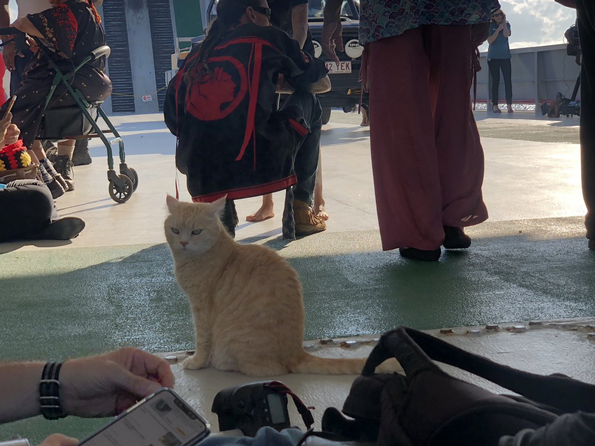 Also in breaking royal news, there is a cat on the barge from Fraser Island back to Hervey Bay #RoyalTourAustralia 🐈