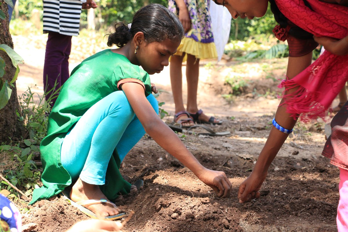 yuvasocialmove's tweet photo. Farming and farmers are completely ruined in Wayanad district. We try to re-install the vision through our little farmers. https://t.co/UdGIbhe73y