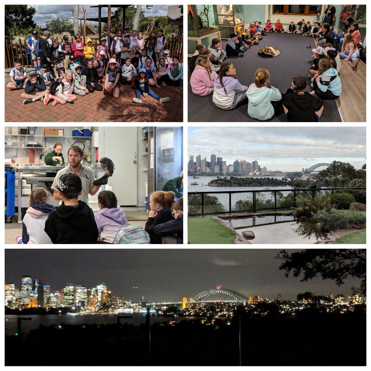 Ms_HeatherS's tweet photo. Stage 2 camp just before holidays; Lessons Afloat cruise, Shark Island, Hyde Park Barracks, Zoos ooze overnight at Taronga, and the Powerhouse Museum. https://t.co/TYEHkLJa8T