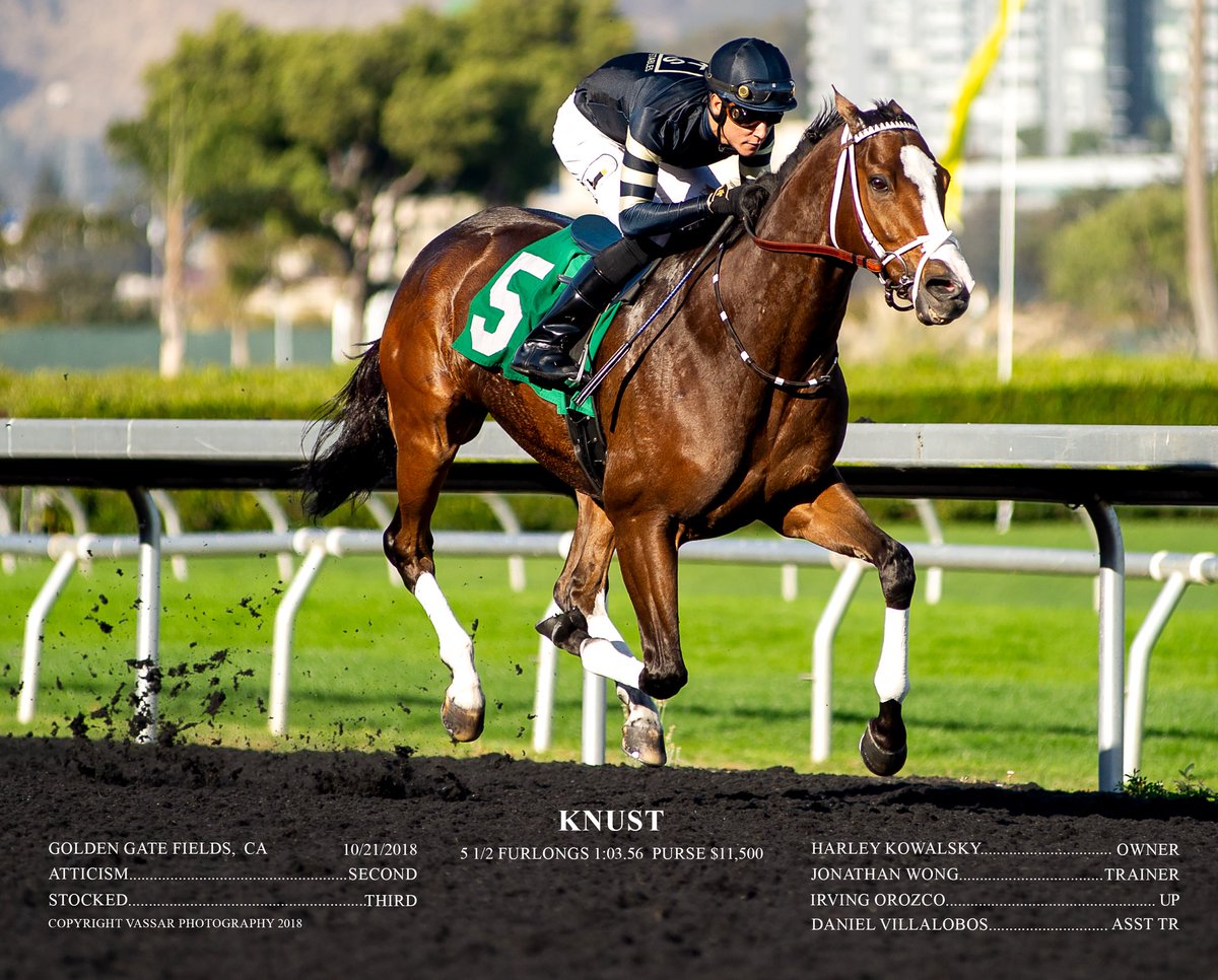JAWongRacing's tweet photo. KNUST crushes today @GGFracing ... congratulations and thank you to his connections... @MsRuffian @annacotsteel @3coltshandicap @GGPublicity @FLAIRstrips #DollarDaySunday #GGFRacing #WhereTheBayComesToPlay #FastHorses https://t.co/5EMZwnyh7d