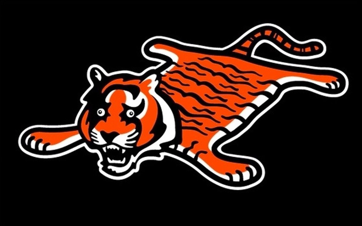 NFL Memes on X: "BREAKING: Cincinnati Bengals release new logo that will be  used everytime they play in primetime <a href=