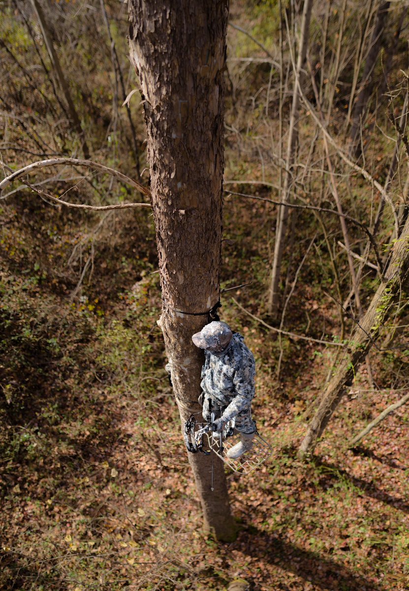 Mathews_Archery's tweet photo. Mark Seacat at the ready in the Ohio hardwoods. #MathewsTriax
#mathews https://t.co/eZtdHvKolp
