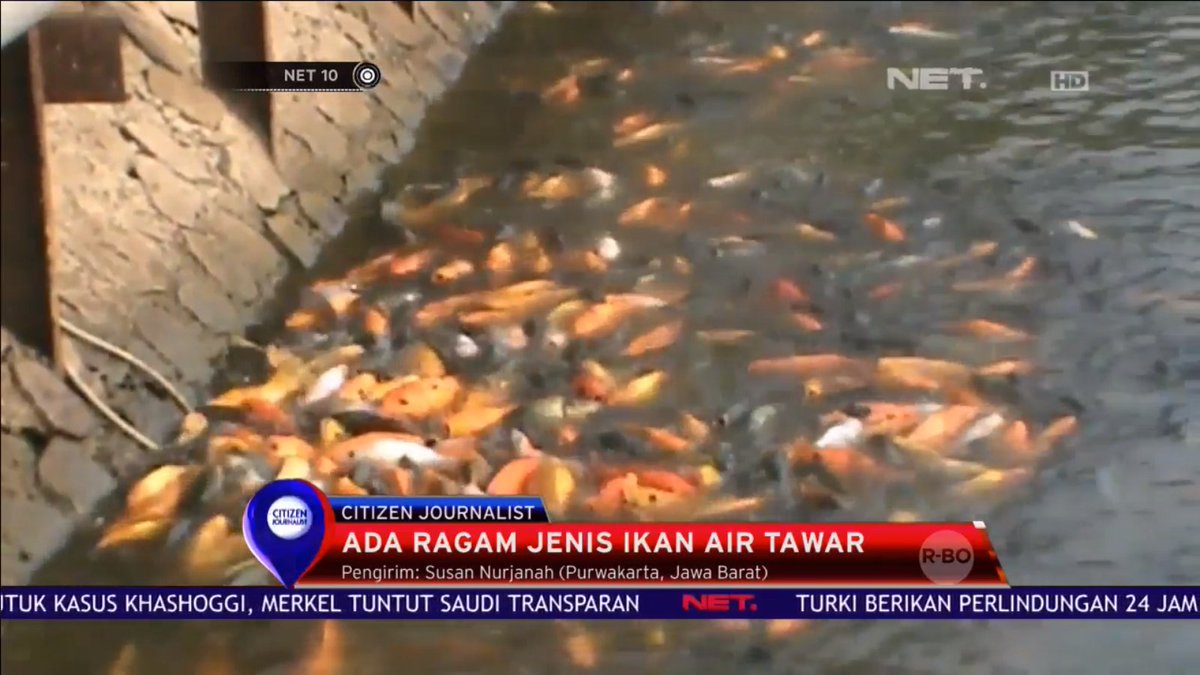Net Cj V Twitter Kolam Situ Buleud Di Sri Baduga Purwakarta