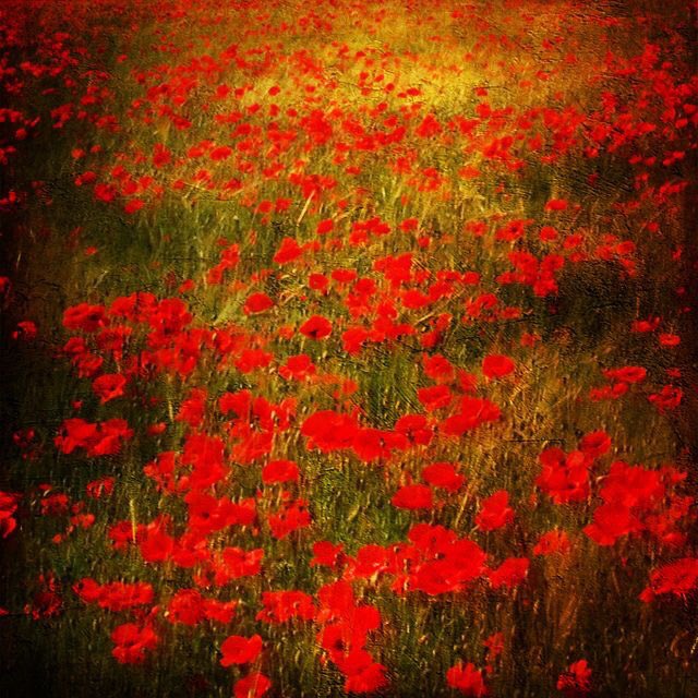 Dominiquepucini's tweet photo. Chitra Banerjee #Divakaruni
“Monday is the day of silence, day of the whole white mung bean, which is sacred to the moon.” #MondayMorning
Claude #Monet https://t.co/q4KJbiOkV9