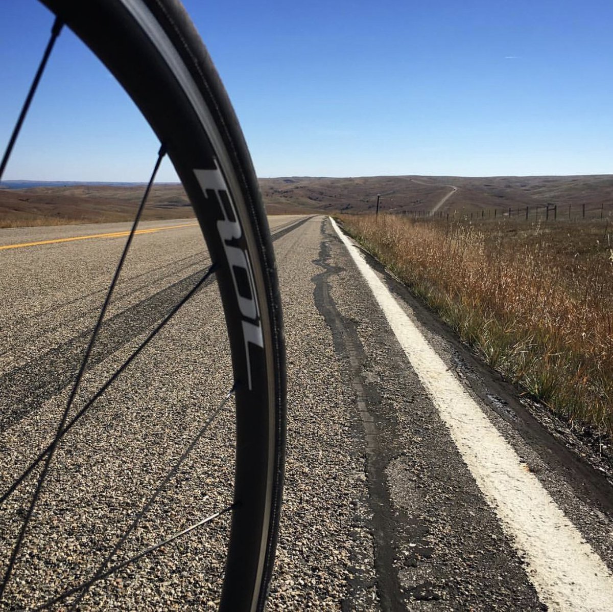 ROL WHEELS tweet media