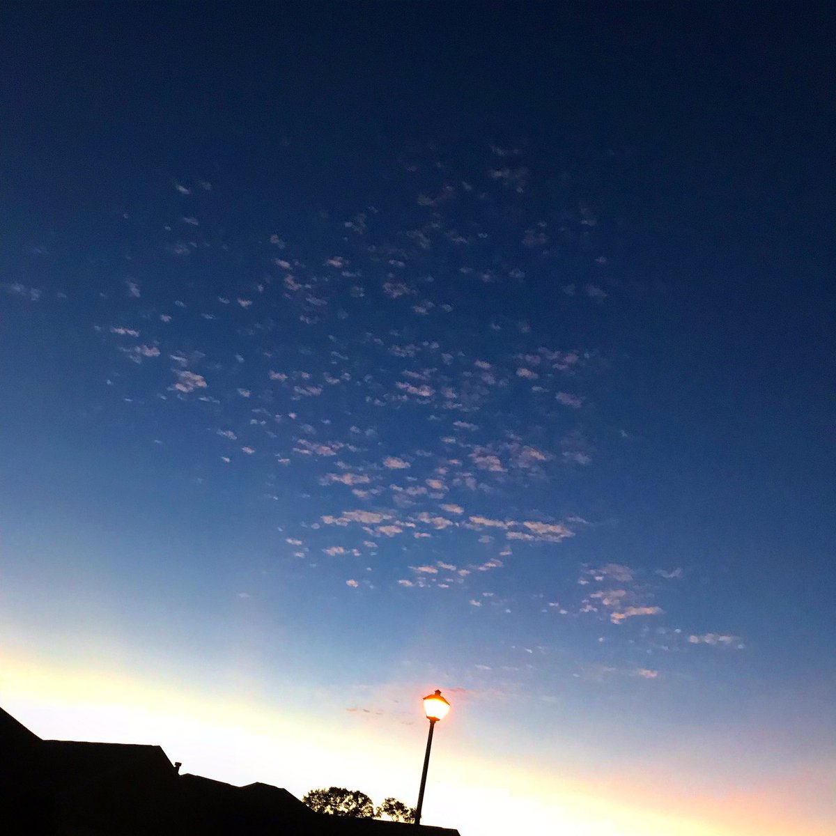 AtConjuring's tweet image. 