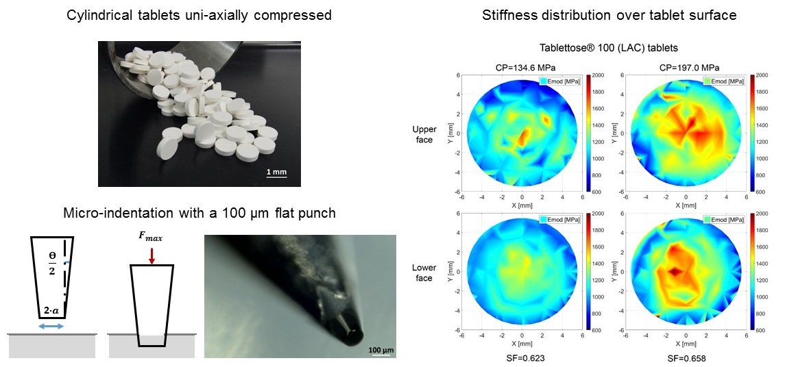 bioengineering and biophysical aspects of electromagnetic