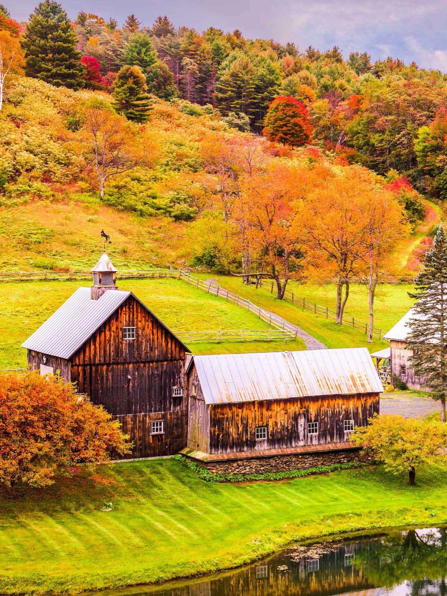 Sonbaharın tüm renkleri gibi güzel bir hafta olması dileğiyle emlaksayfam.com

#sonbahar #satilik  #kiralık #gayrimenkul #günlükkiralık #sayfalarcailan #konut #happysunday #iyihaftalar #başarı