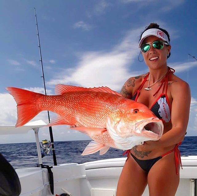 JACKFISH07's tweet photo. This is the definition of a beautiful capture 😉 🐬🐳🐋
. .
.

Follow her 👉 @brittanytareco
.
.
Follow our shop✔@jack_fish7 .
.
.

#Fishing #fishinglife #fishingtrip #fishingislife #fishingdaily #fishingboat #fishingday #fishingrod #fishinggirl #fish… https://t.co/Jjoj7qFsDM https://t.co/Yp8lPxSCb6