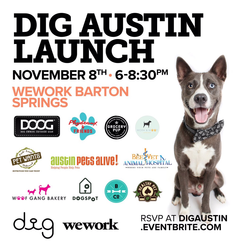 Dig - The Dog Person’s Dating App tweet media