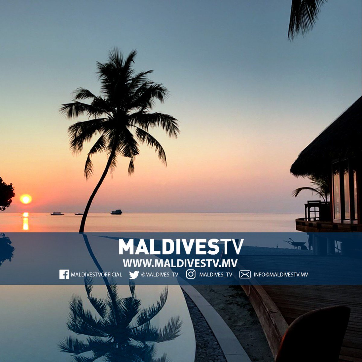 MaldivesTV tweet media
